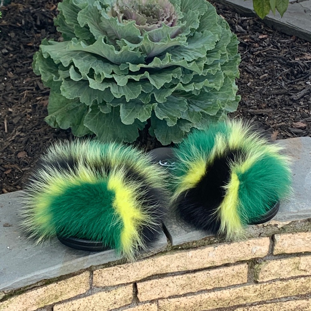 Fox Slides